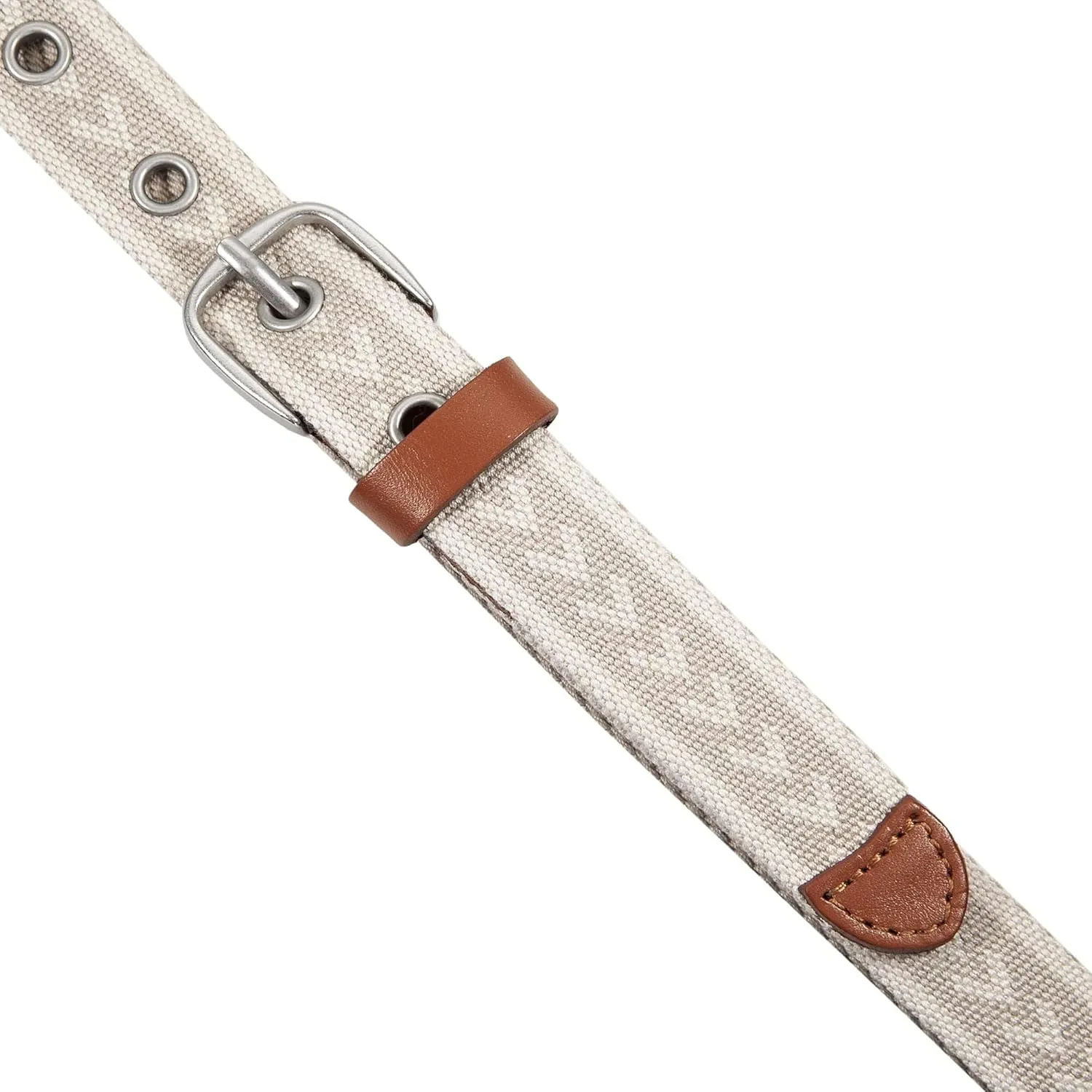 Eddie Bauer Women's Cascade Grommet Webbing Belt with Metal Buckle