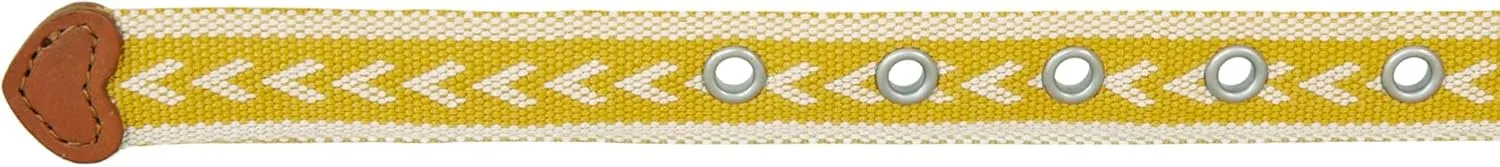 Eddie Bauer Women's Cascade Grommet Webbing Belt with Metal Buckle