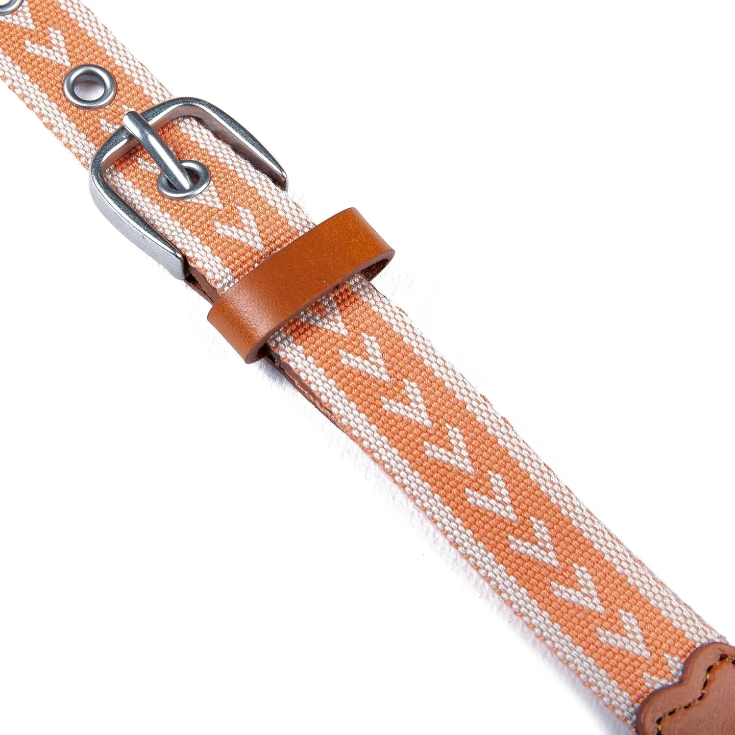 Eddie Bauer Women's Cascade Grommet Webbing Belt with Metal Buckle