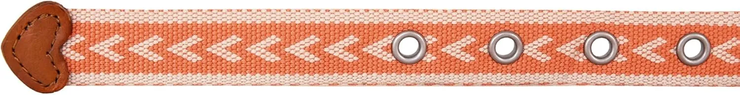 Eddie Bauer Women's Cascade Grommet Webbing Belt with Metal Buckle